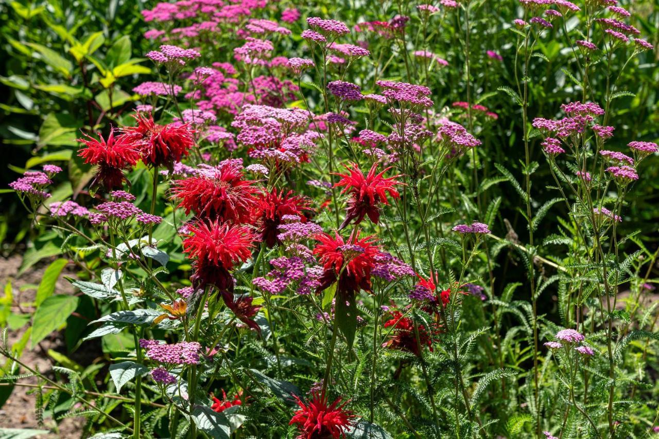 B&B De Hemelse Polder Sint-Laureins Buitenkant foto