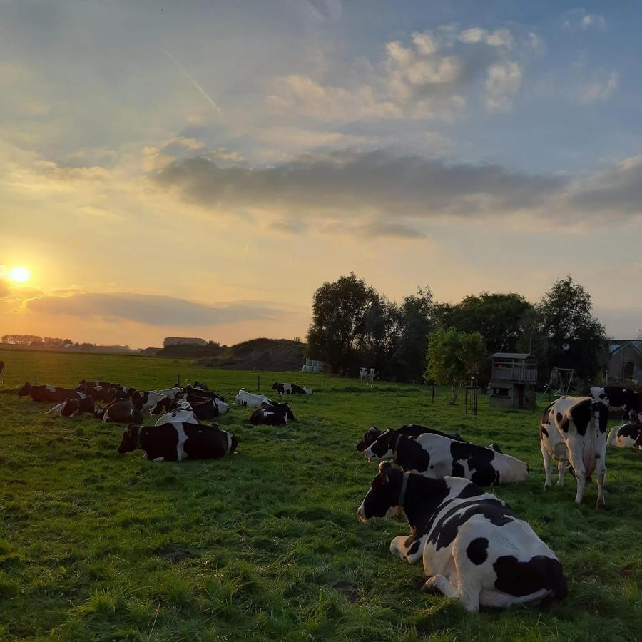 B&B De Hemelse Polder Sint-Laureins Buitenkant foto