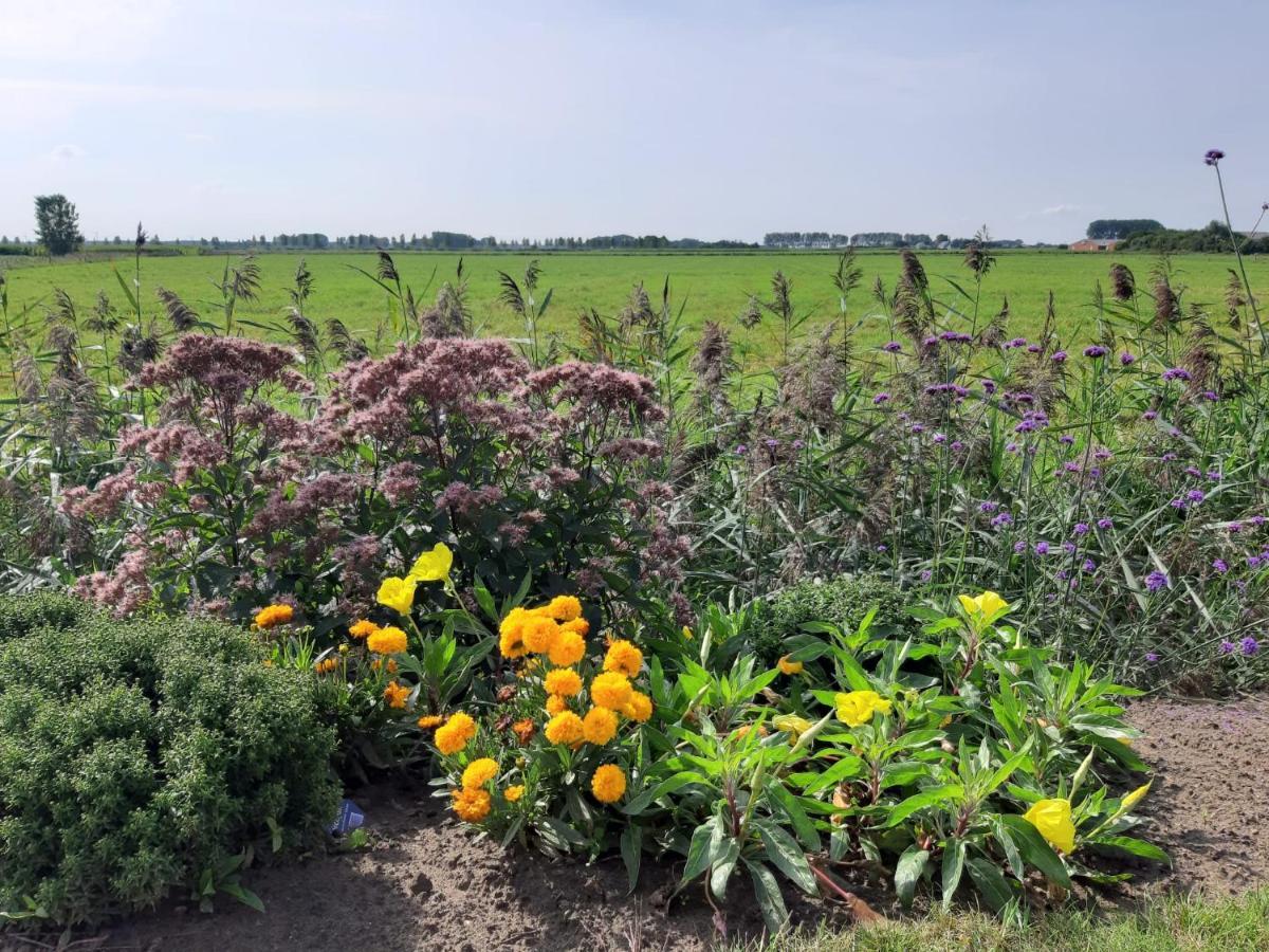 B&B De Hemelse Polder Sint-Laureins Buitenkant foto