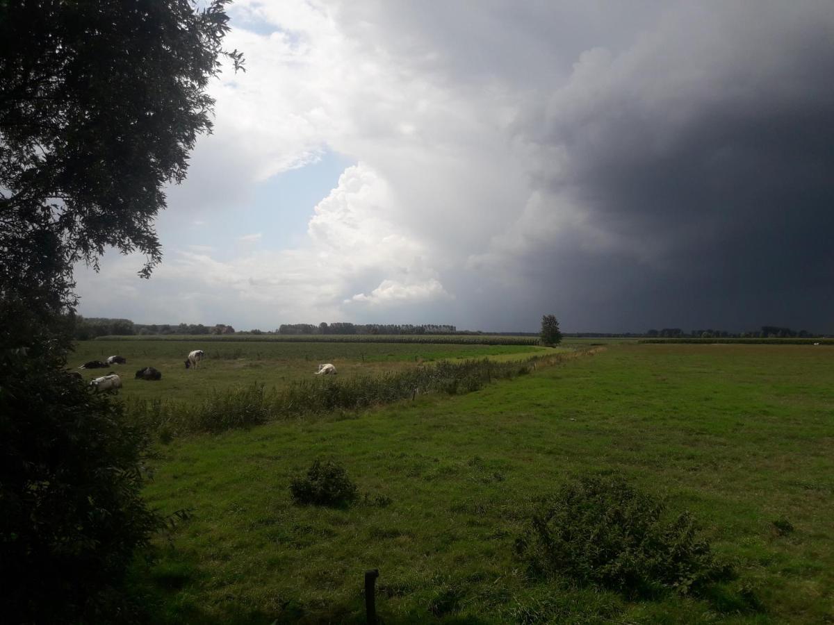 B&B De Hemelse Polder Sint-Laureins Buitenkant foto